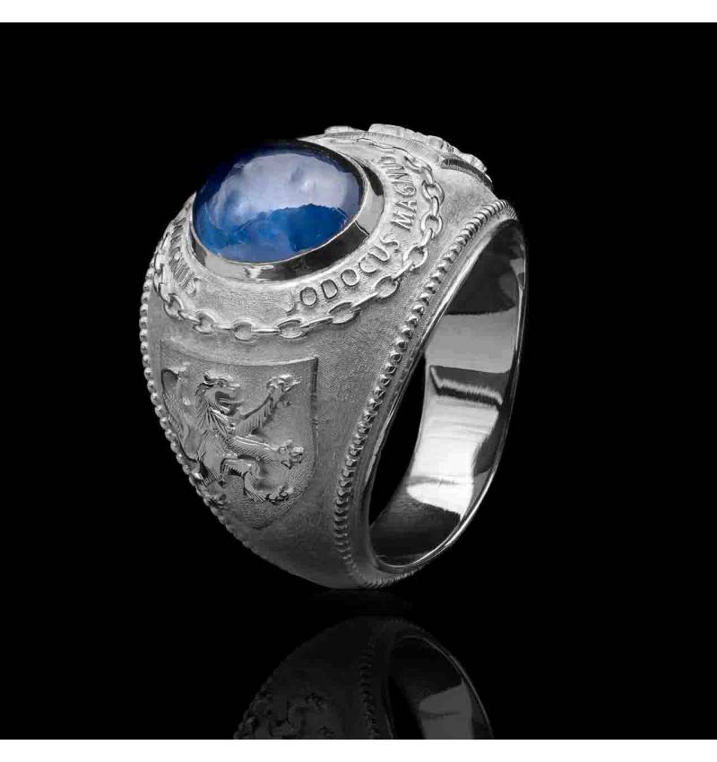 chevaliere college ring-argent